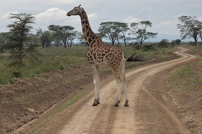 4day Maasai Mara, Lake Nakuru, and Lake Naivasha - Hell’s Gate and Lake Naivasha: bike park, gorge walk, and boat hippos