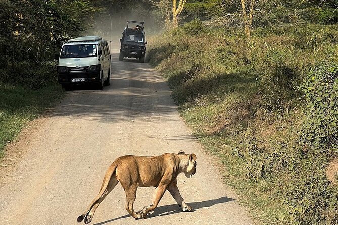 4day Maasai Mara, Lake Nakuru, and Lake Naivasha - What the inclusions mean for your comfort each day