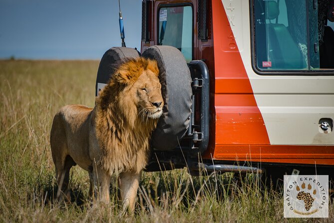 5-Day 4 Nights Masai Mara-L Nakuru-Hell's Gate Budget Safari - Masai Mara game drives: more than just a checklist