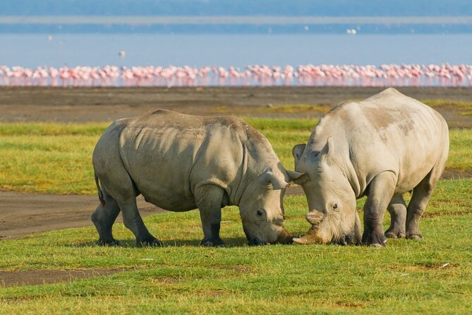 5-Day Masai Mara Lake Nakuru and Naivasha Small-group Safari Tour - Lake Naivasha and Dove Nest Lodge: A Calm Counterpoint to the Mara