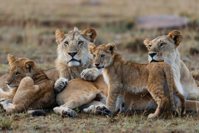 5-Day Masai Mara Lake Nakuru and Naivasha Small-group Safari Tour - Hell’s Gate National Park: Ol Karia Geothermal and the Rare Foot or Bike Option