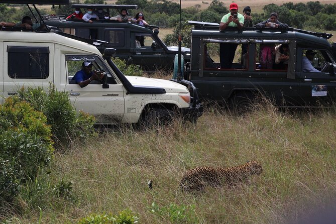 5-Day Private Tour in Kenya's Best Game Parks - Pickup, mobile tickets, and the small details that reduce stress