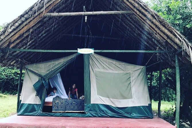 5-Day Safari in Maasai Mara, Lake Nakuru and Naivasha - Getting to the parks: how the day starts in Nairobi