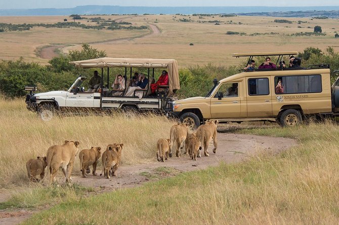 5 Days/4 Nights Kenya Safari - Price and Value: What $1,546 Buys in Real Safari Terms