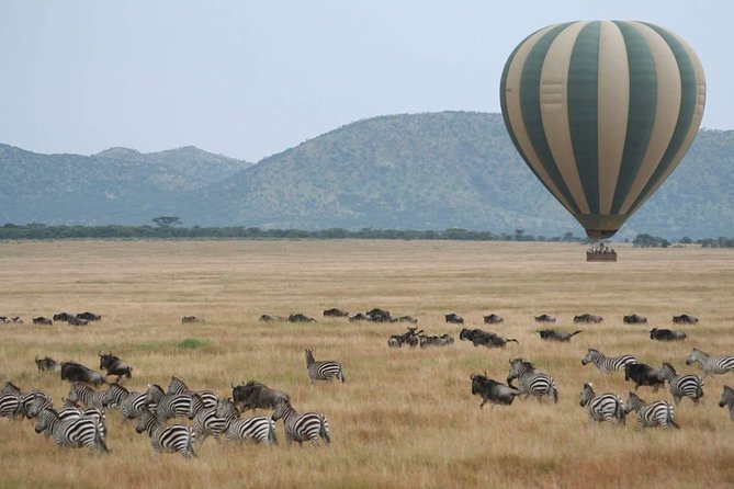 5 Days Best Of Kenya Safari - Why this Kenya safari rhythm works (and where it might not)