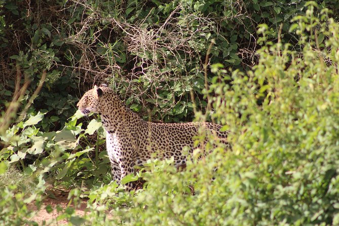 5 Days Best Of Kenya Safari - Lake Nakuru National Park: flamingo numbers and Rift Valley viewpoints