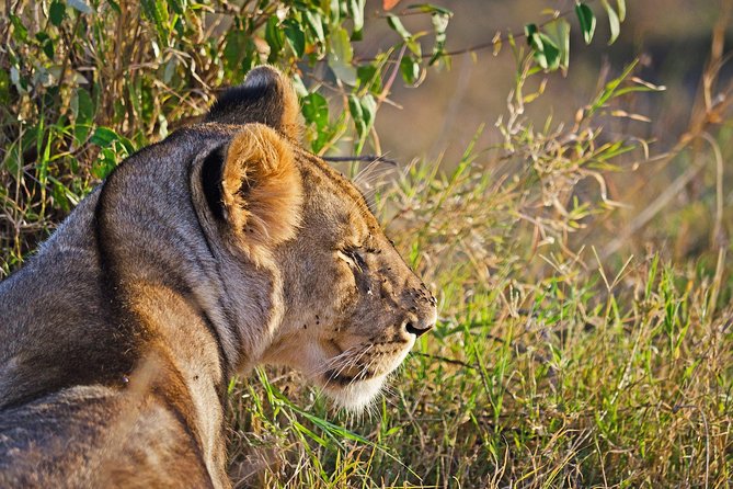 5 Days Best Of Kenya Safari - Hell’s Gate: walking, biking, and why it changes your safari brain