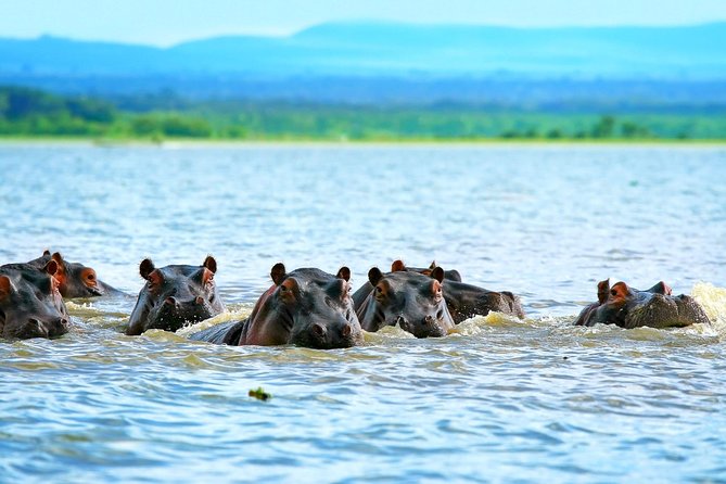 5 Days Hell's Gate, L. Naivasha, L. Nakuru & Masai Mara Luxury Safari - Key Highlights You’ll Feel Right Away