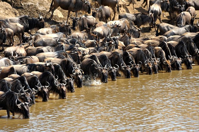 5 Days Hell's Gate, L. Naivasha, L. Nakuru & Masai Mara Luxury Safari - Hell’s Gate Walking Safari: Why This Is the Signature Moment