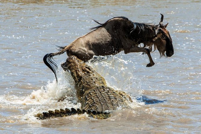5 Days Hell's Gate, L. Naivasha, L. Nakuru & Masai Mara Luxury Safari - Nairobi Pickup, Guide Care, and What “Luxury” Really Means Here