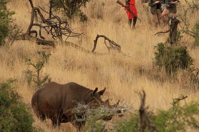 5 Days Kenya Masai Mara and Lake Nakuru Private Tour - Day 3: Mara Triangle game drives and two nights at Mara Ashnil