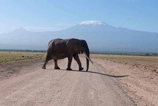 5 Days Lake Naivasha, Lake Nakuru, & Masai Mara - Nairobi to Lake Naivasha: the Rift Valley warm-up
