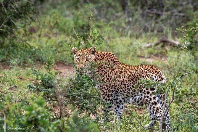5 Days Lake Nakuru-Lake Naivasha & Maasai Mara Safari - Lake Nakuru, where flamingos steal the show and rhinos do not hide
