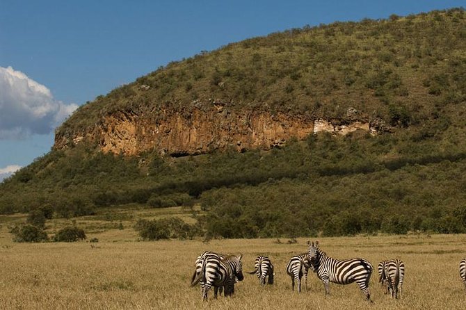 5 Days Maasai mara, Lake Nakuru, samburu private lodge safari - Lake Nakuru National Park: Rhinos, Flamingoes, and the Birdlife Advantage