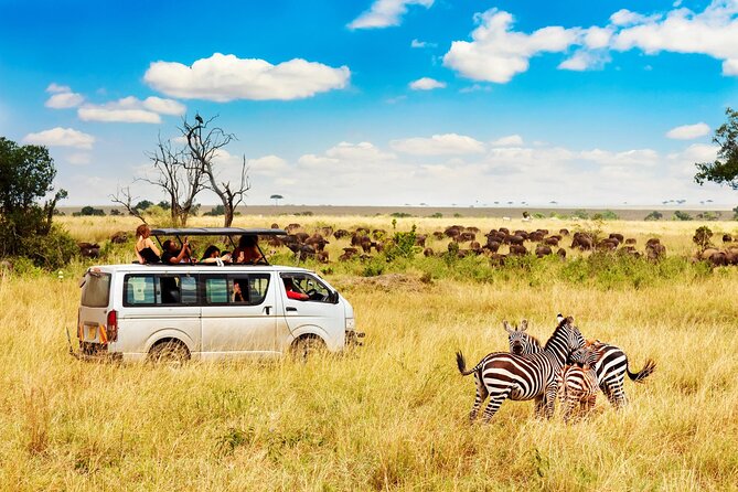 5 Days Masai Mara, Lake Nakuru & Naivasha Budget Joining Safari - Day 3: Lake Nakuru National Park for flamingos, rhino, and bird life