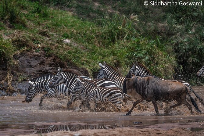 5 days Masai Mara Wildebeest migration safari - Day 1 in Nairobi: settle in at Best Western Meridian