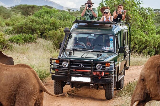 5 Days Mombasa,Tsavo East, Taita Salt Lick, Tsavo West, Amboseli, - Key highlights at a glance