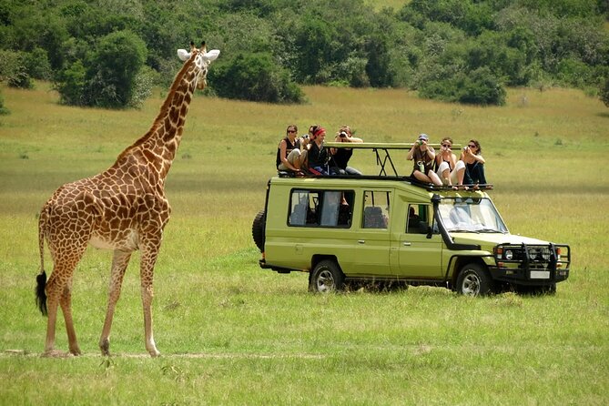 5 Days Mombasa,Tsavo East, Taita Salt Lick, Tsavo West, Amboseli, - Tsavo West, Ngulia Safari Lodge, and the rhino plus leopard odds