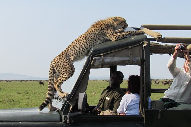 5 Days Mombasa,Tsavo East, Taita Salt Lick, Tsavo West, Amboseli, - Taita Hills Wildlife Sanctuary and the Salt Lick rhythm