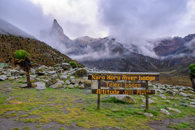 5 Days Mount Kenya Climbing Via Chogoria Sirimone Route - Day 2: Lake Ellis Campsite and the moorland view payoff
