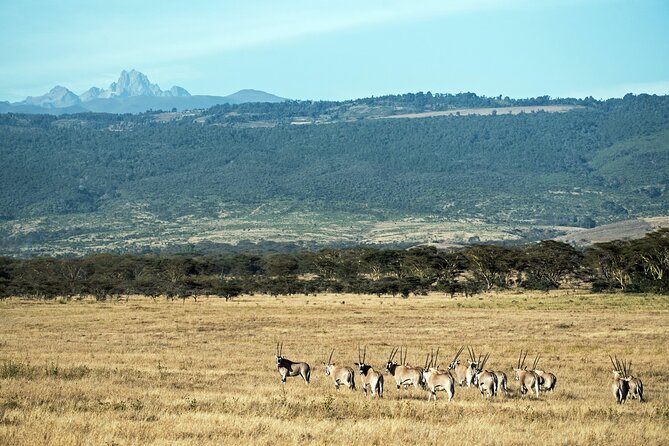 5 Days Mount Kenya Climbing Via Chogoria Sirimone Route - Day 3: Crossing to the normal tourist trail, Mintos huts at 4,200 m