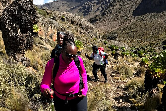 5 Days Mt. Kenya Sirimon route out Chogoria Route with Peak Circuit - Day 5: Bamboo forest descent and the ride back to Nairobi (3 pm)