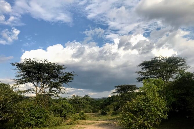 5 Days Mt. Kenya Sirimon route out Chogoria Route with Peak Circuit - Price and value: $960 per person for a private circuit