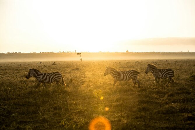 5 Days of Kenyan Magic: A Whirlwind Safari Adventure - Day 5 final Naivasha morning, Hell’s Gate option, then back to Nairobi