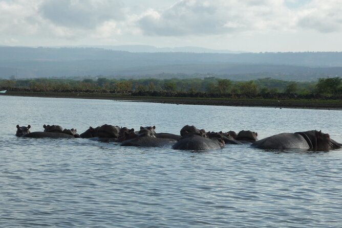 5 Days Safari to Amboseli N/P, Lake Naivasha, Maasai Mara N/R. - Day 2: Rift Valley Stops, Small Churches, and Lake Naivasha Hippo Time