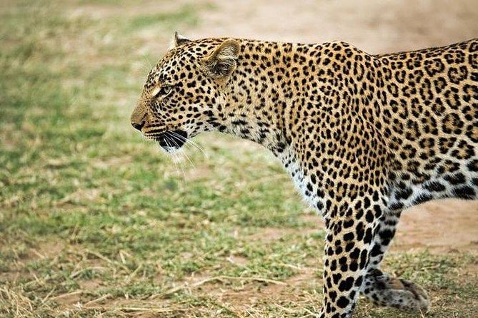 5 Days safari to Maasai Mara ,Lake Nakuru and Hell's gate national park - The Mara River, where the migration story becomes real
