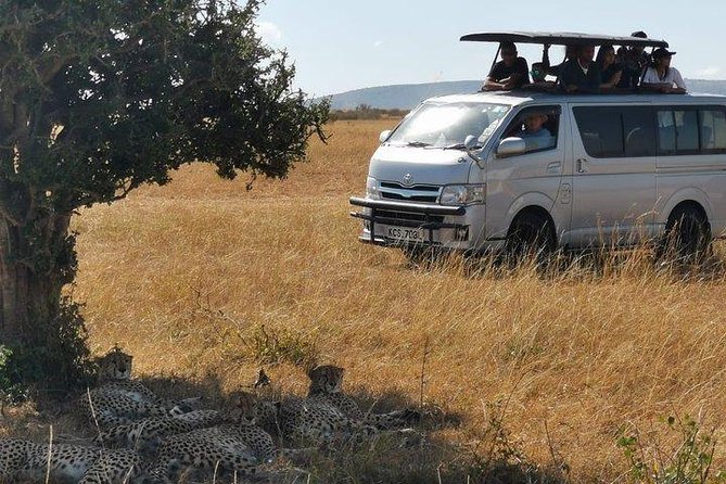 5 Days safari to Maasai Mara ,Lake Nakuru and Hell's gate national park - Maasai Mara game drives, from first sightings to real searching