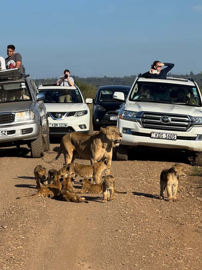 5-Hour Nairobi National Park 4x4 Safari with Free Pickup - Key things to know before you go