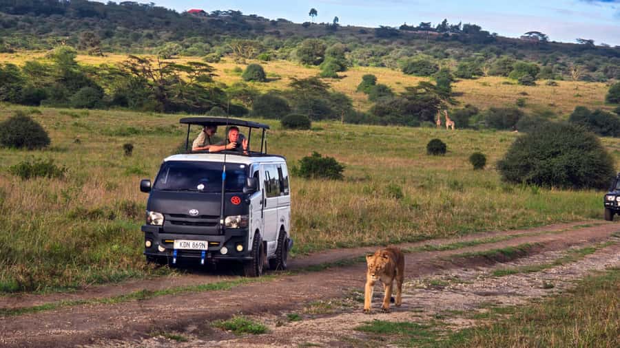 5-Hour Nairobi National Park 4x4 Safari with Free Pickup - The game drive spotlight: lions, rhinos, giraffes, zebras, and buffalo