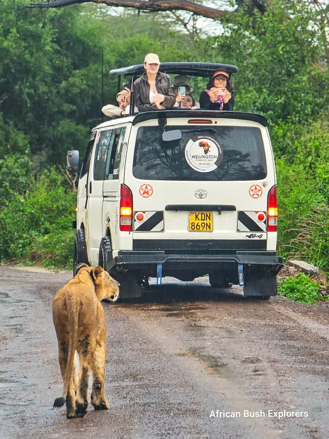 5-Hour Nairobi National Park 4x4 Safari with Free Pickup - How timing changes the safari: morning, afternoon, or evening