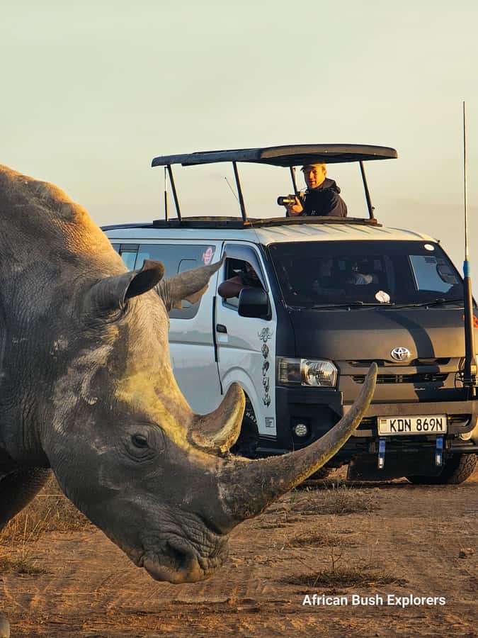 5-Hour Nairobi National Park 4x4 Safari with Free Pickup - Free pickup and the open-roof 4x4: the comfort upgrade you feel fast