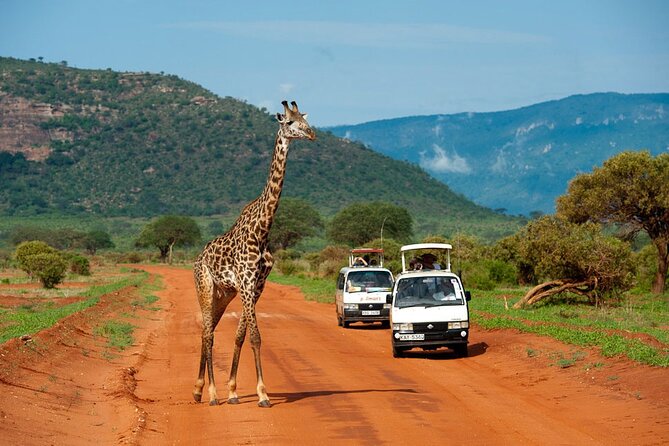 5days Tour Tsavo East & west, Amboseli from Mombasa / Nairobi - Day 5: Back to Nairobi, and the option to continue to Mombasa by train