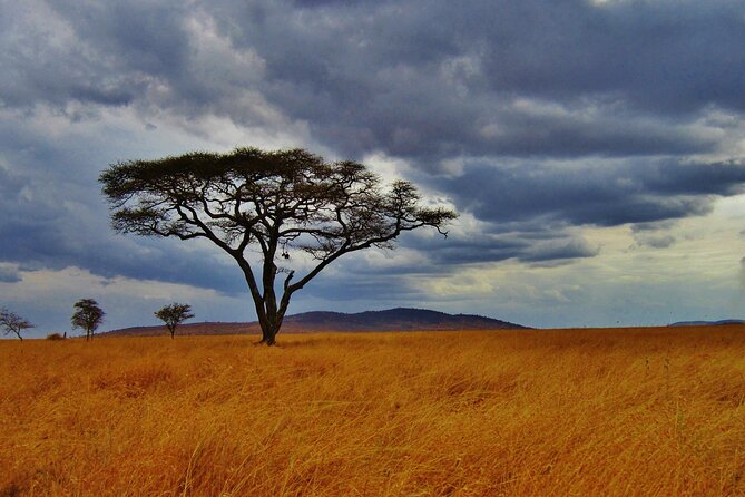 5days Tour Tsavo East & west, Amboseli from Mombasa / Nairobi - Day 1: Tsavo East National Park and Voi Safari Lodge