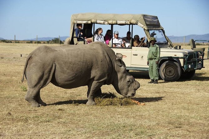 6-Day 5 Nights Masai Mara, Lake Nakuru & Amboseli Budget Safari - How This 6-Day Budget Safari Runs From Nairobi