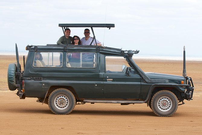 6-Day Kenya and Tanzania safari - Vehicles and timing: minivan plus Land Cruiser, plus long sits