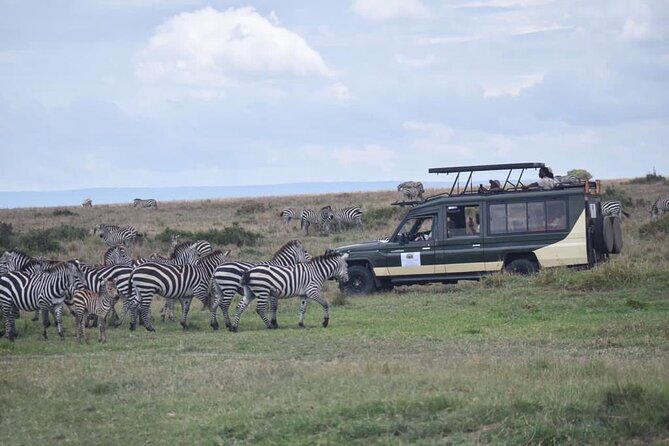 6 Day Nairobi-Amboseli-Maasai Mara Private Semi Luxury Tour - The private Toyota Land Cruiser difference in real life