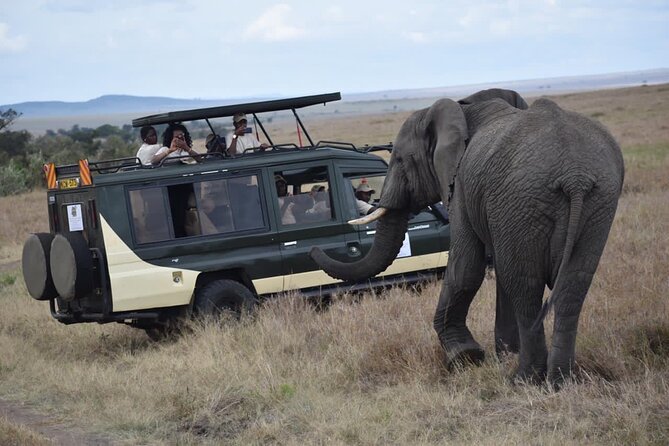 6 Day Nairobi-Amboseli-Maasai Mara Private Semi Luxury Tour - Price and value: is $3,040 a good deal?