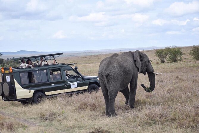 6 Day Nairobi-Amboseli-Maasai Mara Private Semi Luxury Tour - Who should book this private semi luxury tour