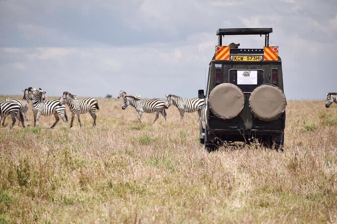 6 Day Nairobi-Amboseli-Maasai Mara Private Semi Luxury Tour - My booking verdict: should you choose it