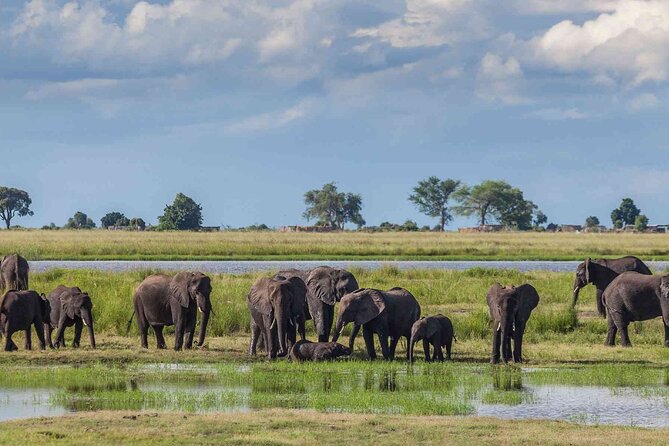 6 Days Group Multi Day Tour Masai Mara Lake Nakuru and Amboseli - Entering the Maasai Mara, then doing it for real