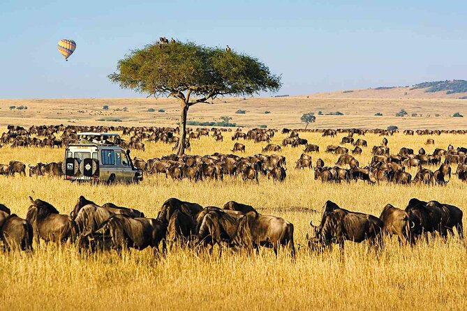 6 Days Group Multi Day Tour Masai Mara Lake Nakuru and Amboseli - Day 3: leaving the Mara, then setting up Lake Nakuru