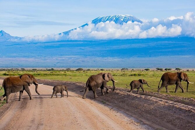 6 Days Group Multi Day Tour Masai Mara Lake Nakuru and Amboseli - Lake Nakuru’s 4-hour game drive, flamingos first