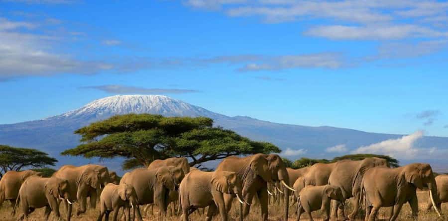 6 Days, Group Safari to Masai Mara, Lake Nakuru and Amboseli - Day 1: Nairobi to Maasai Mara, Rift Valley view stop and a sunset drive