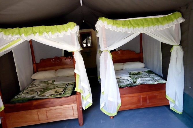 6 Days in Masai Mara- Lake Nakuru- Amboseli - Your final morning in Amboseli and the Nairobi return, plus the Mombasa connection by road