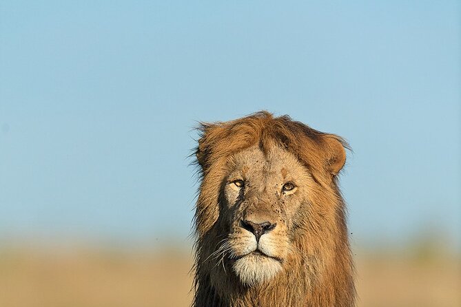 6 Days Kenya Adventure Wildlife Safari - Price and Value: What You Pay For, and What You Must Budget