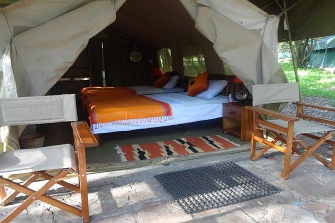 6 Days Maasai Mara/Nakuru/Amboseli Group Safari - Nairobi start, pickup, and how the pace feels